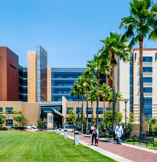 UCI campus